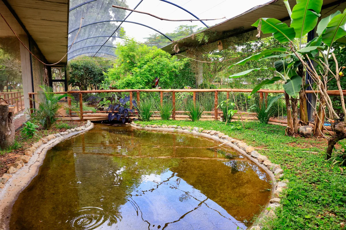 Zoológico de Brasília Completa 68 Anos com Entrada Gratuita