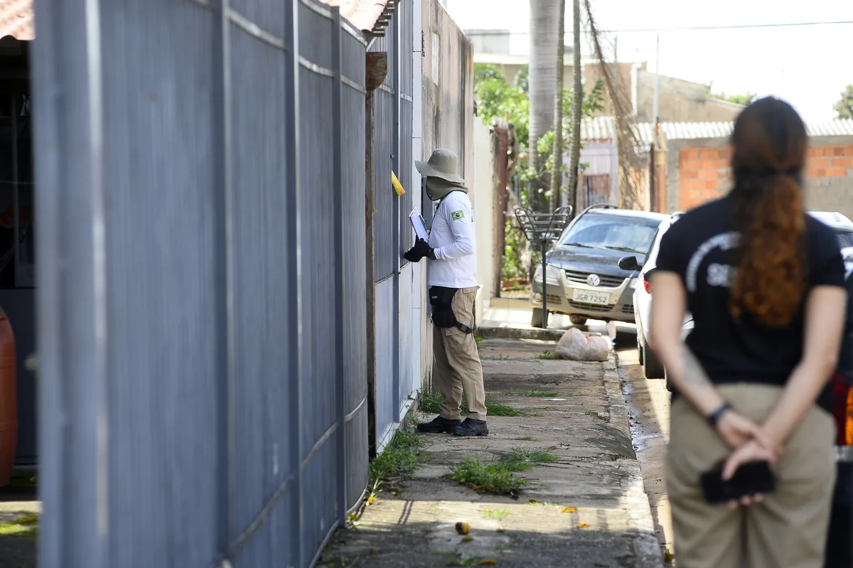Dengue no DF exige atenção redobrada durante o período chuvoso