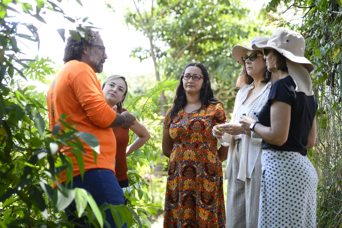 Rede de Hortos Agroflorestais do DF recebe visita de comitê da ONU